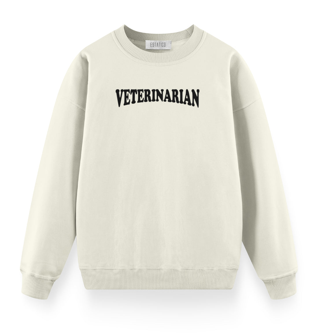 Veterinarian - Oversize Premium Sweatshirt